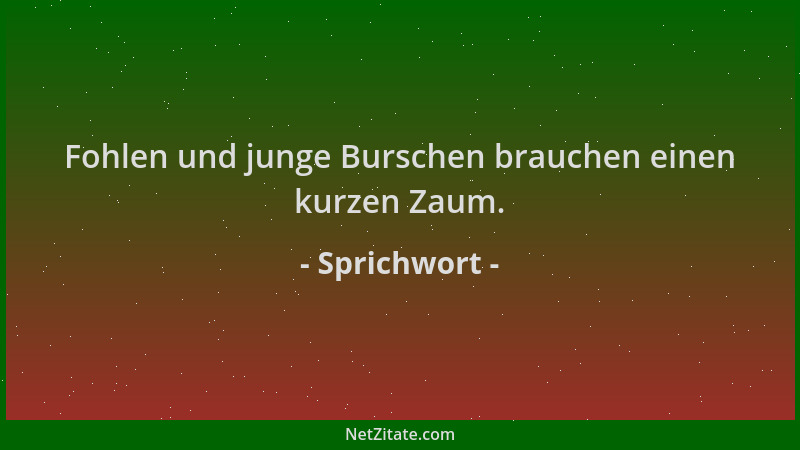 Sprichwort - Fohlen und junge Burschen brauchen einen kurzen Zaum....