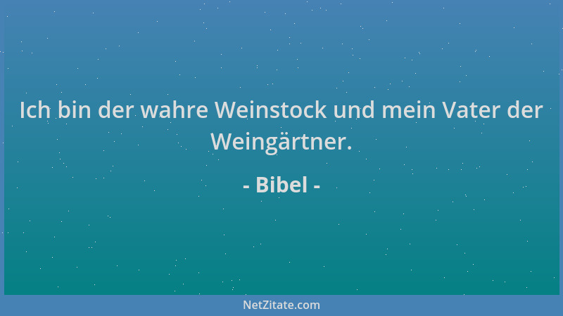 Bibel - Ich bin der wahre Weinstock und mein Vater der Weingärtner....