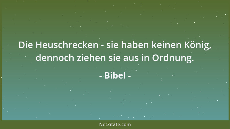 Bibel - Die Heuschrecken - sie haben keinen König, dennoch ziehen sie aus in Ordnung....