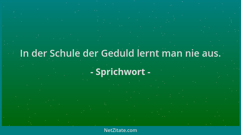 Sprichwort - In der Schule der Geduld lernt man nie aus....