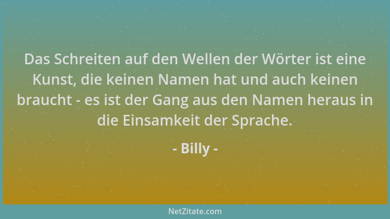 Billy - Das Schreiten auf den Wellen der Wörter ist eine Kunst, die keinen Namen hat und auch keinen braucht - es ist der G...