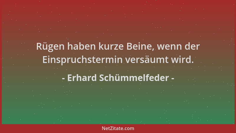 Erhard Schümmelfeder - Rügen haben kurze Beine, wenn der Einspruchstermin versäumt wird....