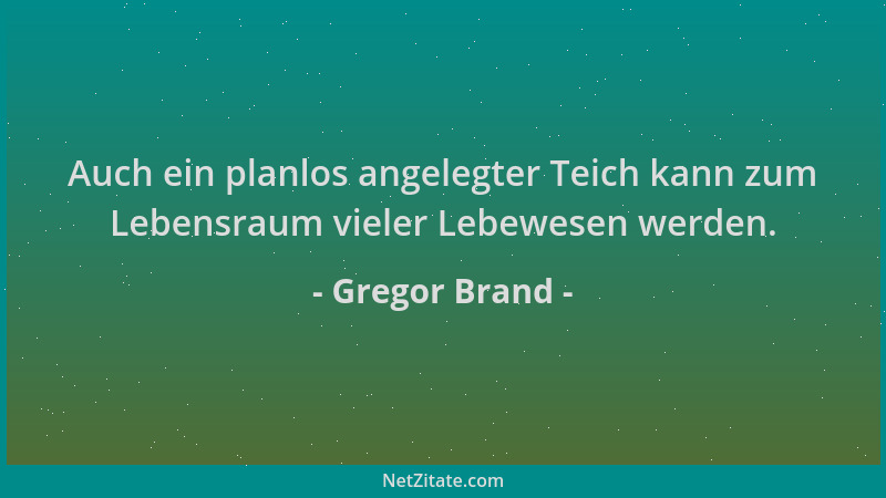 Gregor Brand - Auch ein planlos angelegter Teich kann zum Lebensraum vieler Lebewesen werden....
