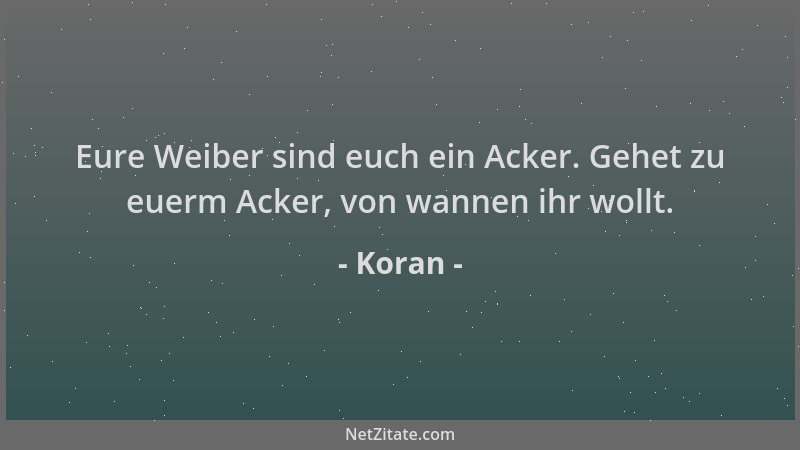 Koran - Eure Weiber sind euch ein Acker. Gehet zu euerm Acker, von wannen ihr wollt....
