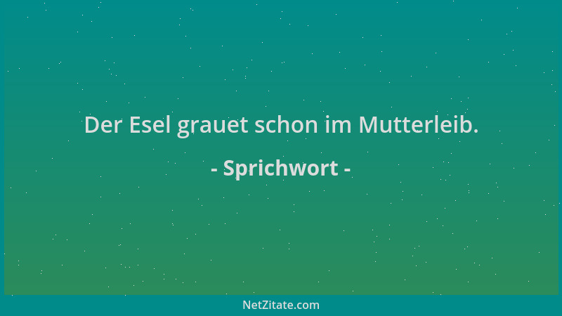 Sprichwort - Der Esel grauet schon im Mutterleib....