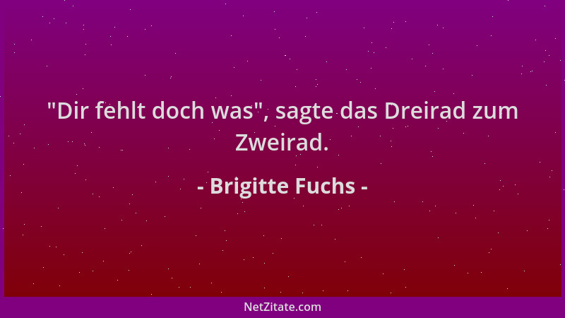 Brigitte Fuchs -  "Dir fehlt doch was ", sagte das Dreirad zum Zweirad....