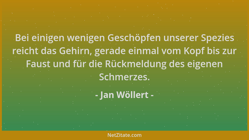 Jan Wöllert - Bei einigen wenigen Geschöpfen unserer Spezies reicht das Gehirn, gerade einmal vom Kopf bis zur Faust und fü...