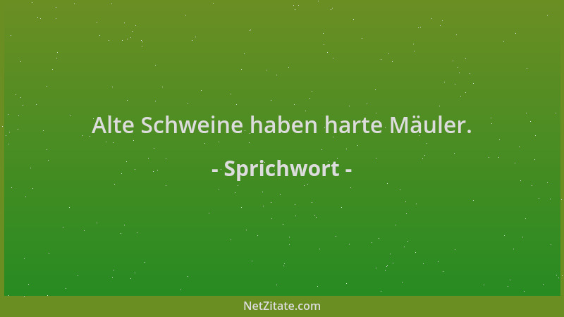 Sprichwort - Alte Schweine haben harte Mäuler....