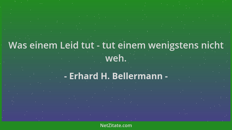 Erhard H. Bellermann - Was einem Leid tut - tut einem wenigstens nicht weh....