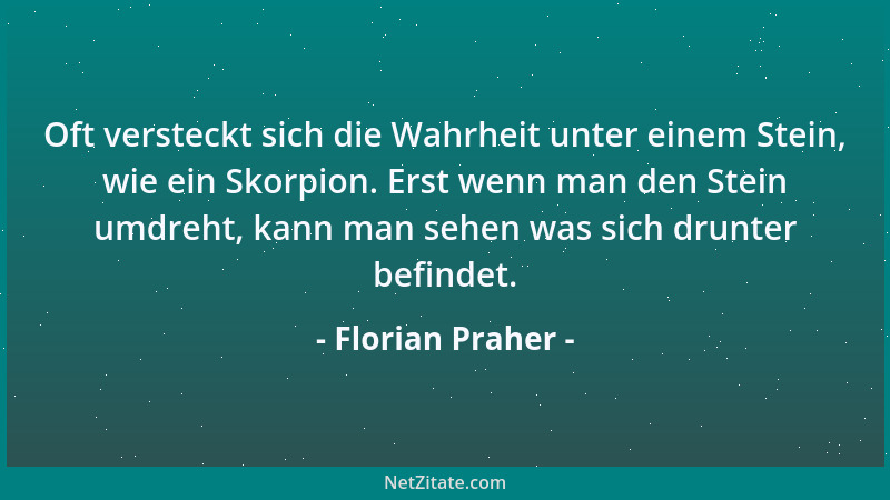 Florian Praher - Oft versteckt sich die Wahrheit unter einem Stein, wie ein Skorpion. Erst wenn man den Stein umdreht, kann...