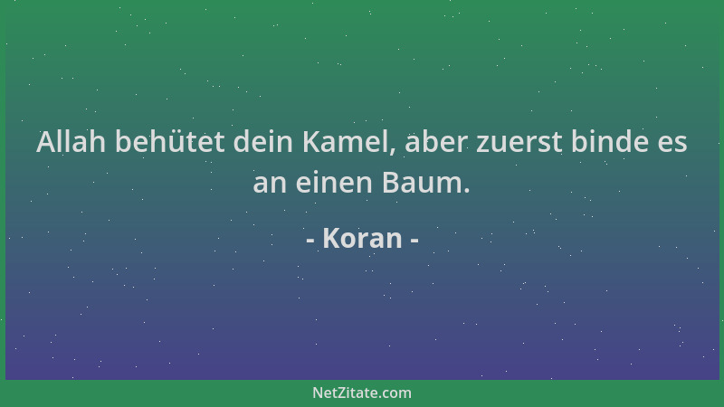 Koran - Allah behütet dein Kamel, aber zuerst binde es an einen Baum....