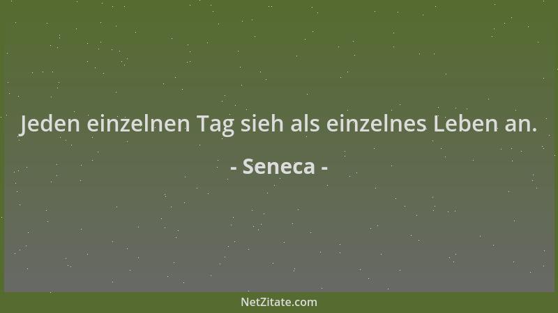 Seneca - Jeden einzelnen Tag sieh als einzelnes Leben an....