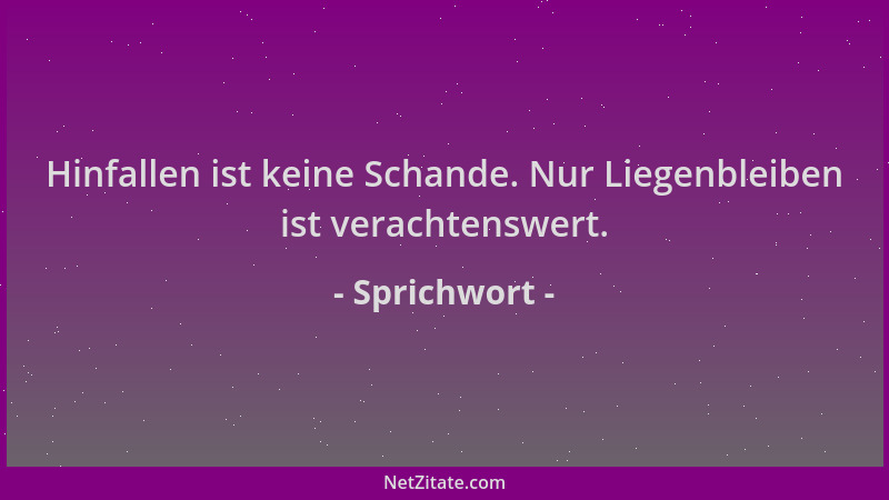 Sprichwort - Hinfallen ist keine Schande. Nur Liegenbleiben ist verachtenswert....