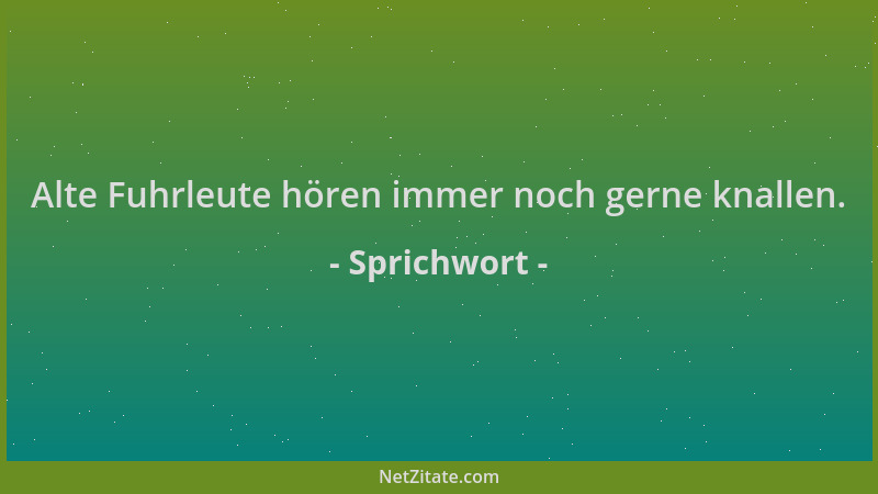 Sprichwort - Alte Fuhrleute hören immer noch gerne knallen....
