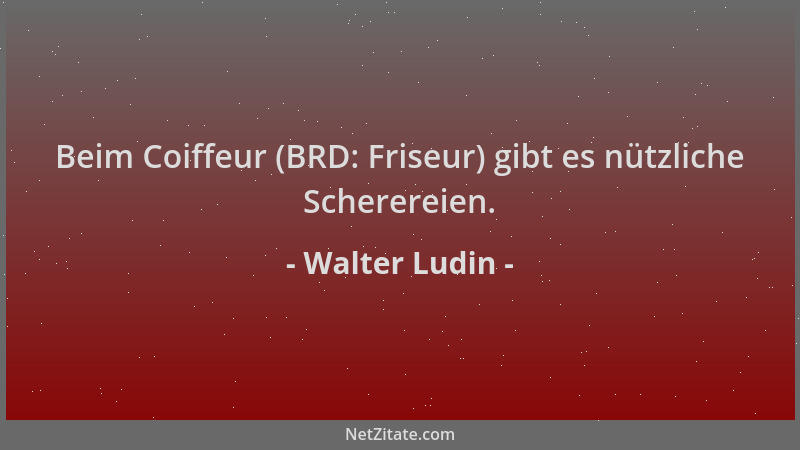 Walter Ludin - Beim Coiffeur (BRD: Friseur) gibt es nützliche Scherereien....