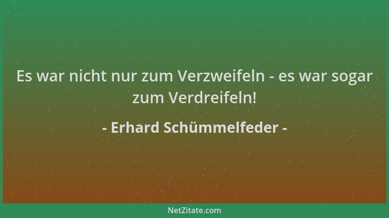 Erhard Schümmelfeder - Es war nicht nur zum Verzweifeln - es war sogar zum Verdreifeln!...