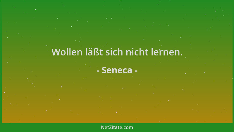 Seneca - Wollen läßt sich nicht lernen....
