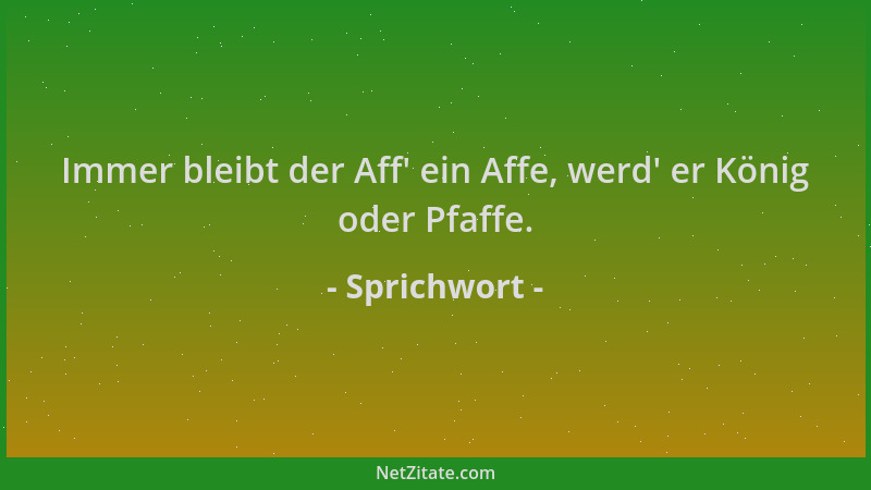 Sprichwort - Immer bleibt der Aff ' ein Affe, werd ' er König oder Pfaffe....
