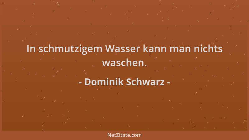 Dominik Schwarz - In schmutzigem Wasser kann man nichts waschen....