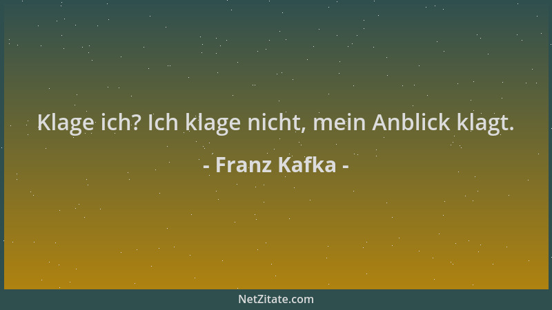 Franz Kafka - Klage ich? Ich klage nicht, mein Anblick klagt....