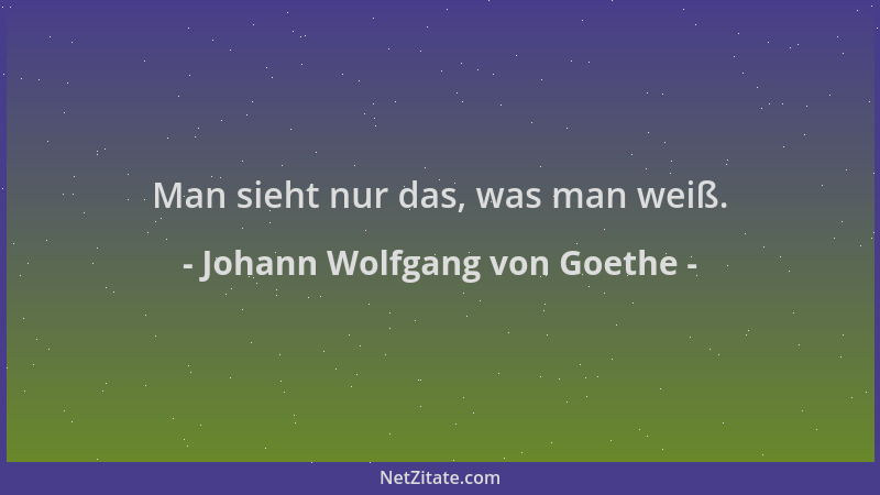 Johann Wolfgang von Goethe - Man sieht nur das, was man weiß....