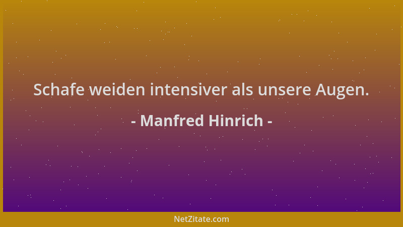 Manfred Hinrich - Schafe weiden intensiver als unsere Augen....