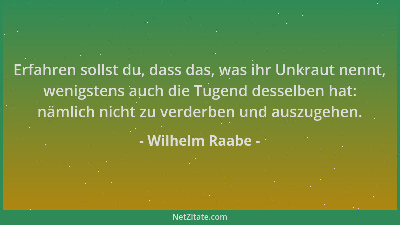 Wilhelm Raabe - Erfahren sollst du, dass das, was ihr Unkraut nennt, wenigstens auch die Tugend desselben hat: nämlich nich...