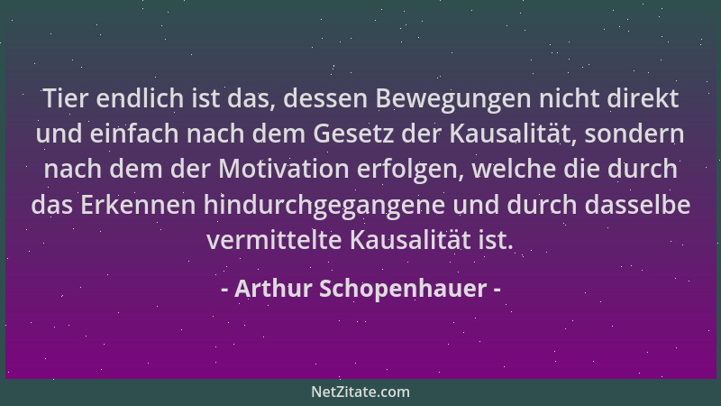 Arthur Schopenhauer - Tier endlich ist das, dessen Bewegungen nicht direkt und einfach nach dem Gesetz der Kausalität, sond...