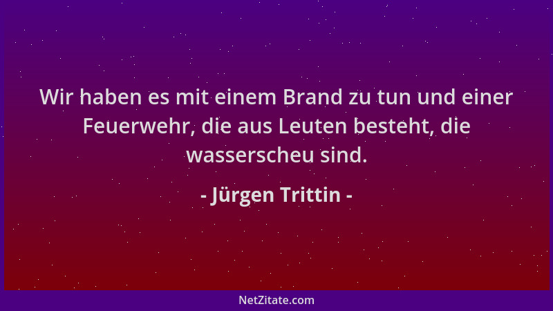Jürgen Trittin - Wir haben es mit einem Brand zu tun und einer Feuerwehr, die aus Leuten besteht, die wasserscheu sind....