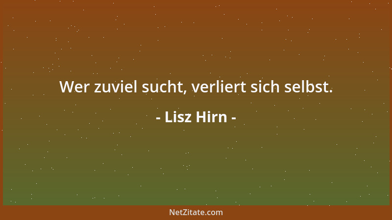 Lisz Hirn - Wer zuviel sucht, verliert sich selbst....