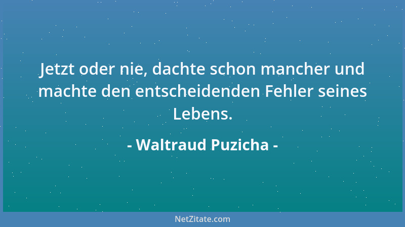 Waltraud Puzicha - Jetzt oder nie, dachte schon mancher und machte den entscheidenden Fehler seines Lebens....