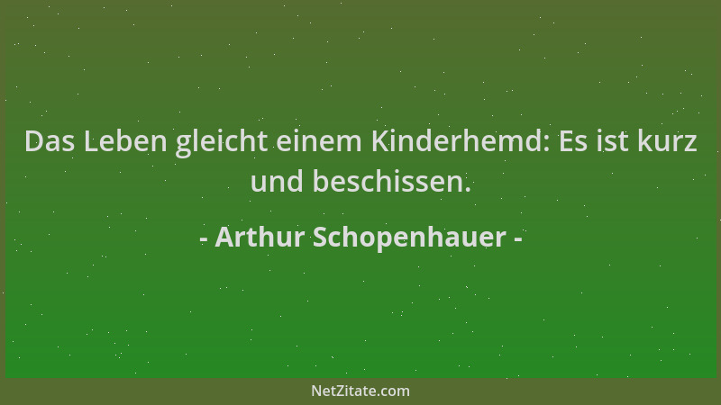 Arthur Schopenhauer - Das Leben gleicht einem Kinderhemd: Es ist kurz und beschissen....