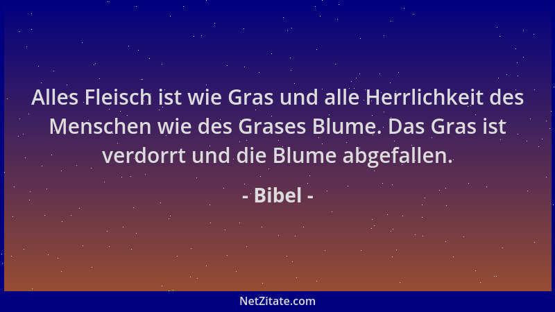Bibel - Alles Fleisch ist wie Gras und alle Herrlichkeit des Menschen wie des Grases Blume. Das Gras ist verdorrt und die B...