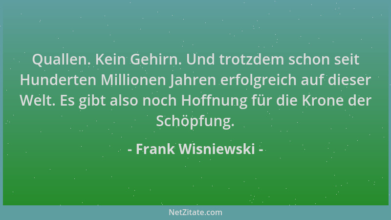 Frank Wisniewski - Quallen. Kein Gehirn. Und trotzdem schon seit Hunderten Millionen Jahren erfolgreich auf dieser Welt. Es...