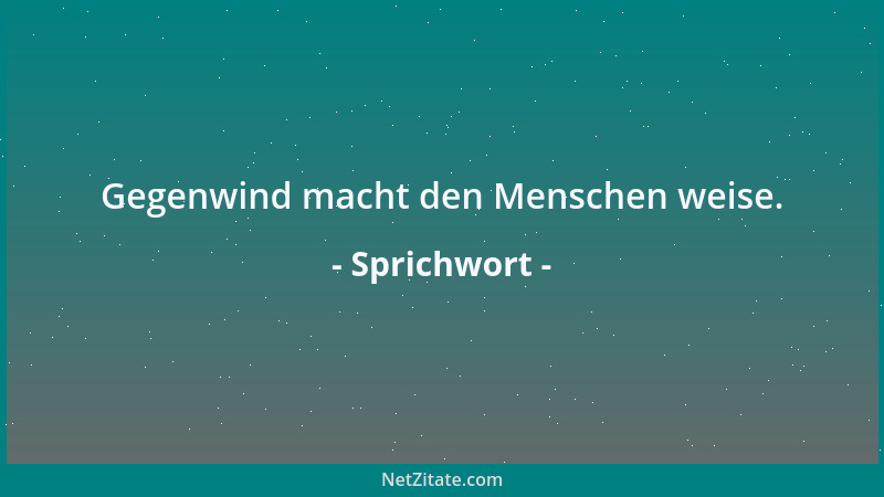 Sprichwort - Gegenwind macht den Menschen weise....