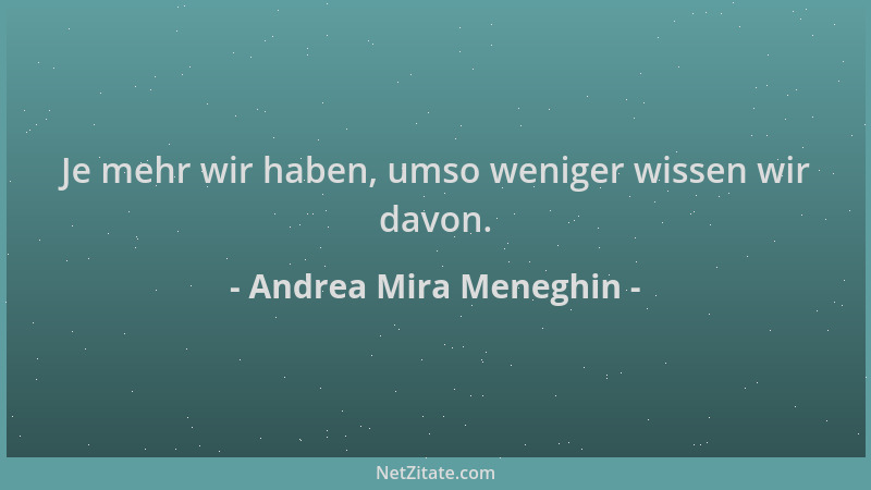 Andrea Mira Meneghin - Je mehr wir haben, umso weniger wissen wir davon....