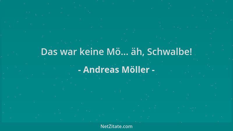 Andreas Möller - Das war keine Mö... äh, Schwalbe!...