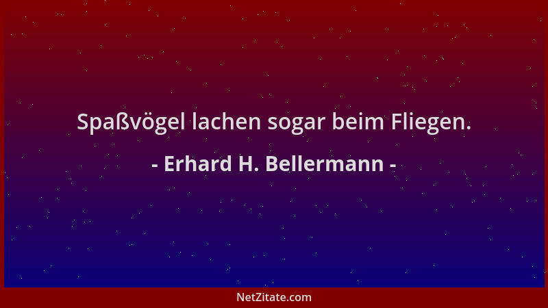 Erhard H. Bellermann - Spaßvögel lachen sogar beim Fliegen....