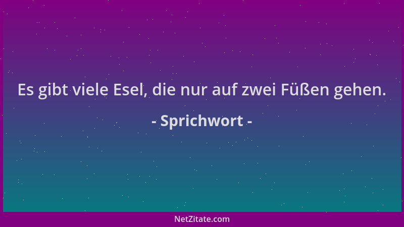 Sprichwort - Es gibt viele Esel, die nur auf zwei Füßen gehen....
