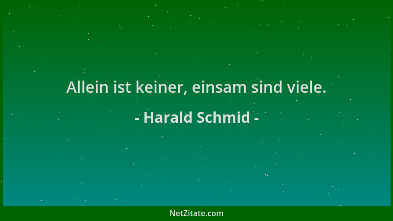 Harald Schmid - Allein ist keiner, einsam sind viele....