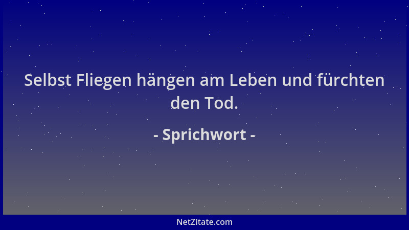 Sprichwort - Selbst Fliegen hängen am Leben und fürchten den Tod....