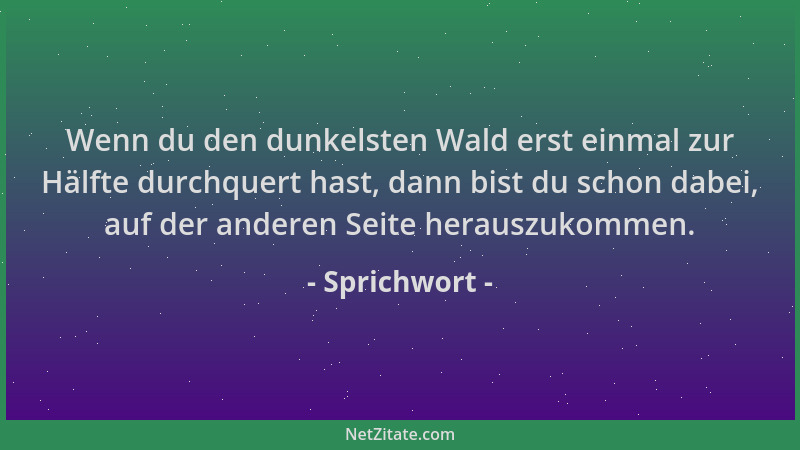 Sprichwort - Wenn du den dunkelsten Wald erst einmal zur Hälfte durchquert hast, dann bist du schon dabei, auf der anderen...