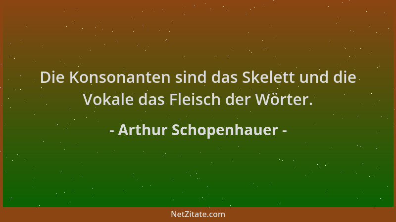 Arthur Schopenhauer - Die Konsonanten sind das Skelett und die Vokale das Fleisch der Wörter....