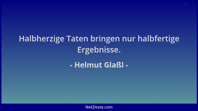 Helmut Glaßl - Halbherzige Taten bringen nur halbfertige Ergebnisse....