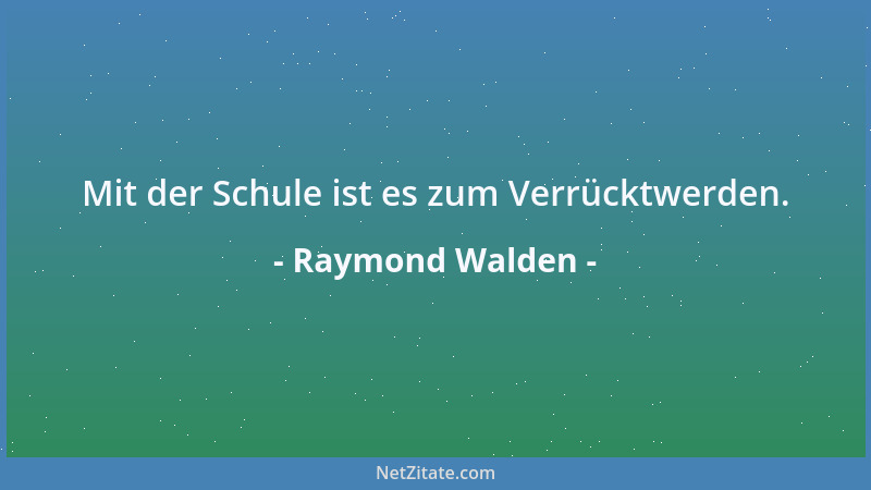 Raymond Walden - Mit der Schule ist es zum Verrücktwerden....