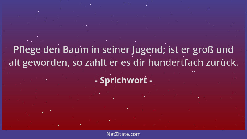 Sprichwort - Pflege den Baum in seiner Jugend; ist er groß und alt geworden, so zahlt er es dir hundertfach zurück....
