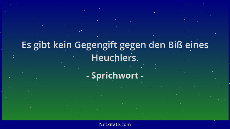 Sprichwort - Es gibt kein Gegengift gegen den Biß eines Heuchlers....