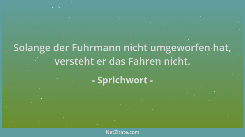 Sprichwort - Solange der Fuhrmann nicht umgeworfen hat, versteht er das Fahren nicht....