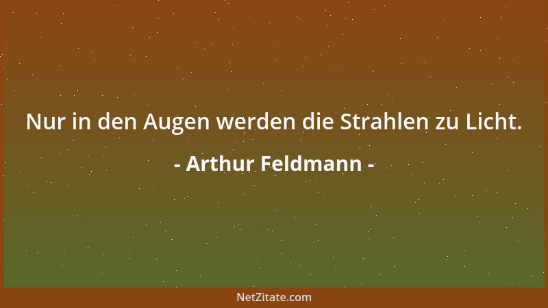 Arthur Feldmann - Nur in den Augen werden die Strahlen zu Licht....