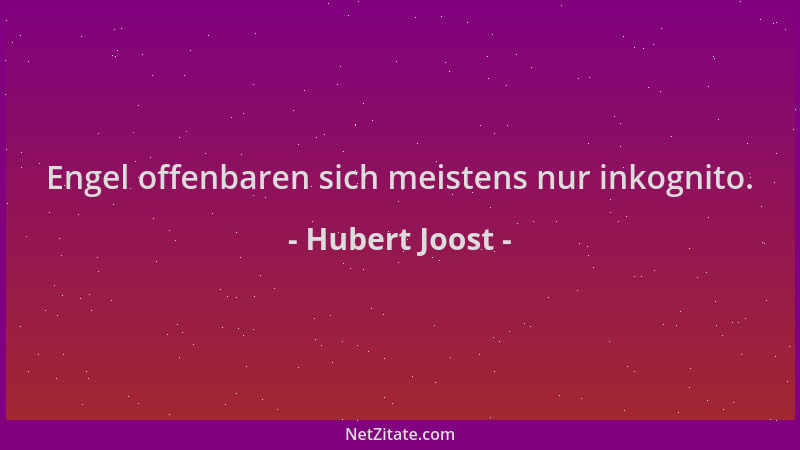 Hubert Joost - Engel offenbaren sich meistens nur inkognito....